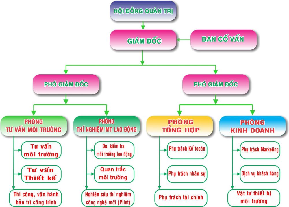 Sơ đồ tổ chức